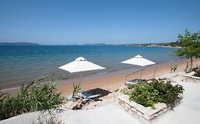 Asterias Studios Finikounda